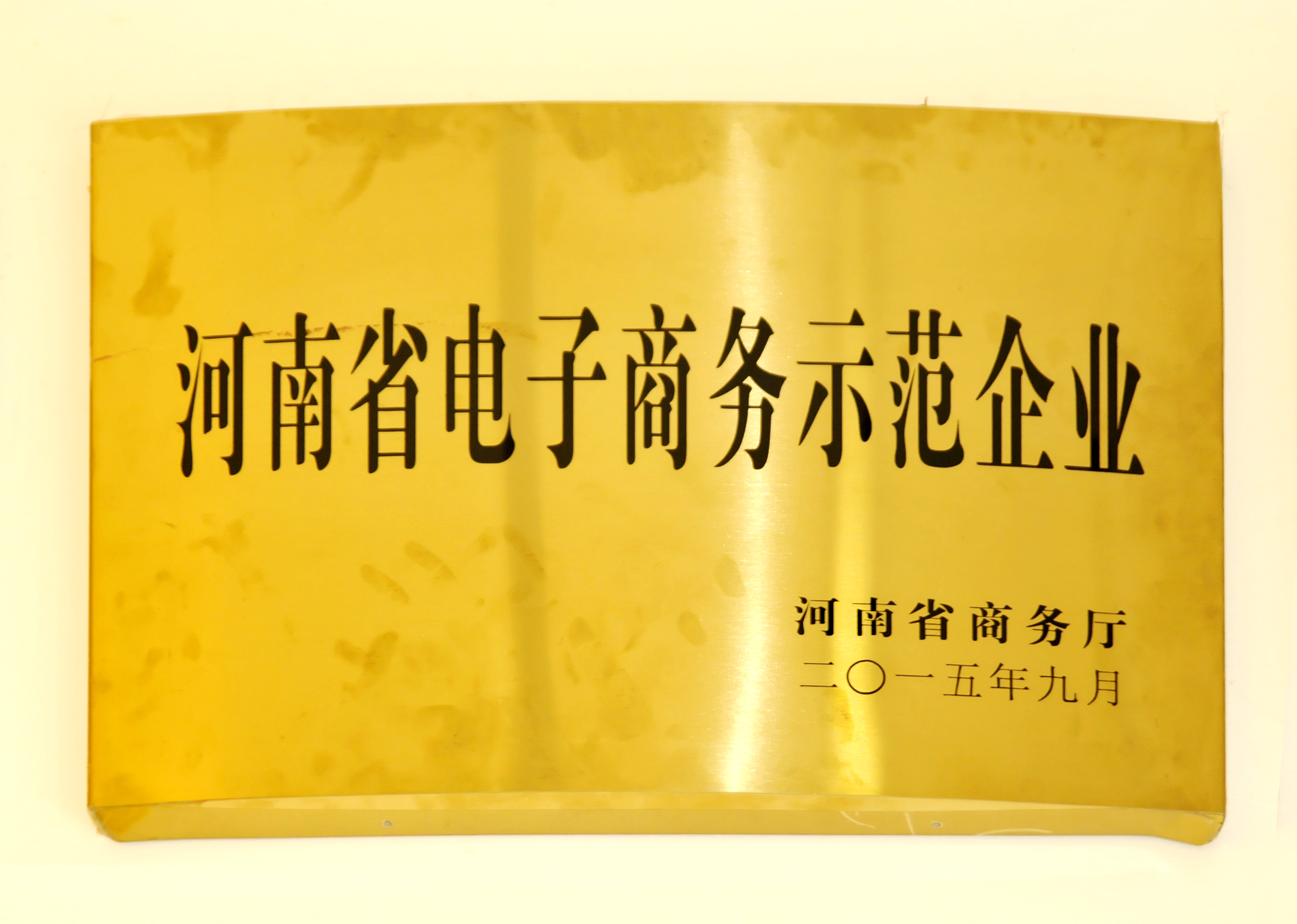 河南省电子商务示范企业