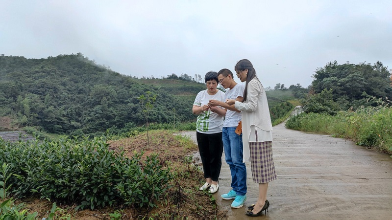 1628821598332916.jpg 2 小.jpg