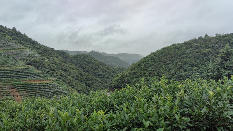 1628821607318939.jpg 3 小.jpg