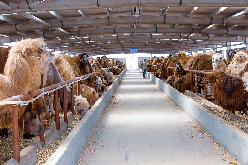 1639107230885498.jpg 微信图片_20211210090420.jpg