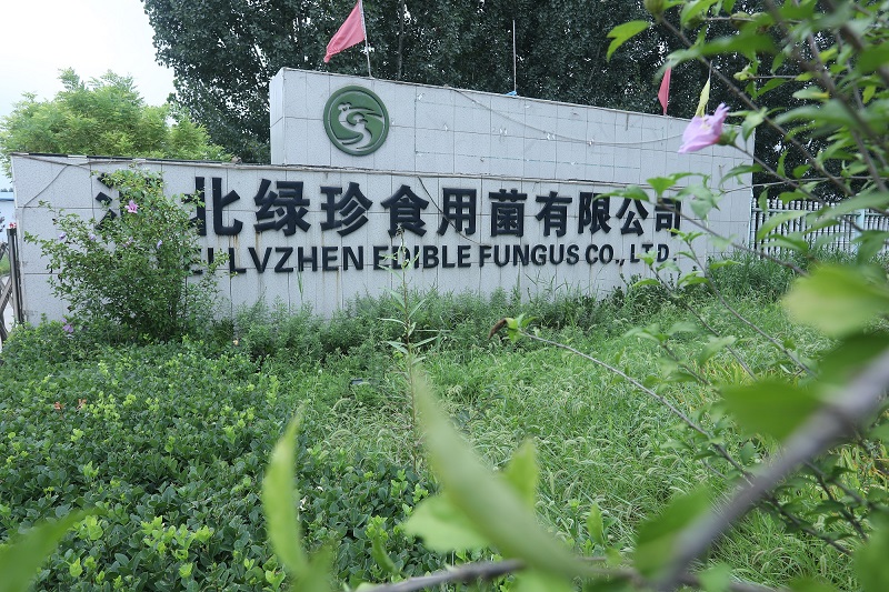 1639986236368255.jpg 9Z1A1052 2.jpg